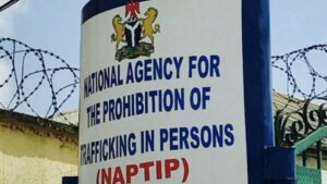 NAPTIP raises alarm on crisis of baby factories