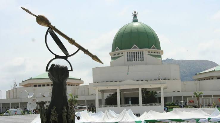 National Assembly Questions FG’s Loan Request