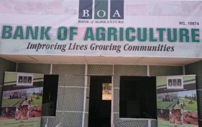 FG to complete Bank of Agriculture Recapitalisation by 1st Quarter 2025