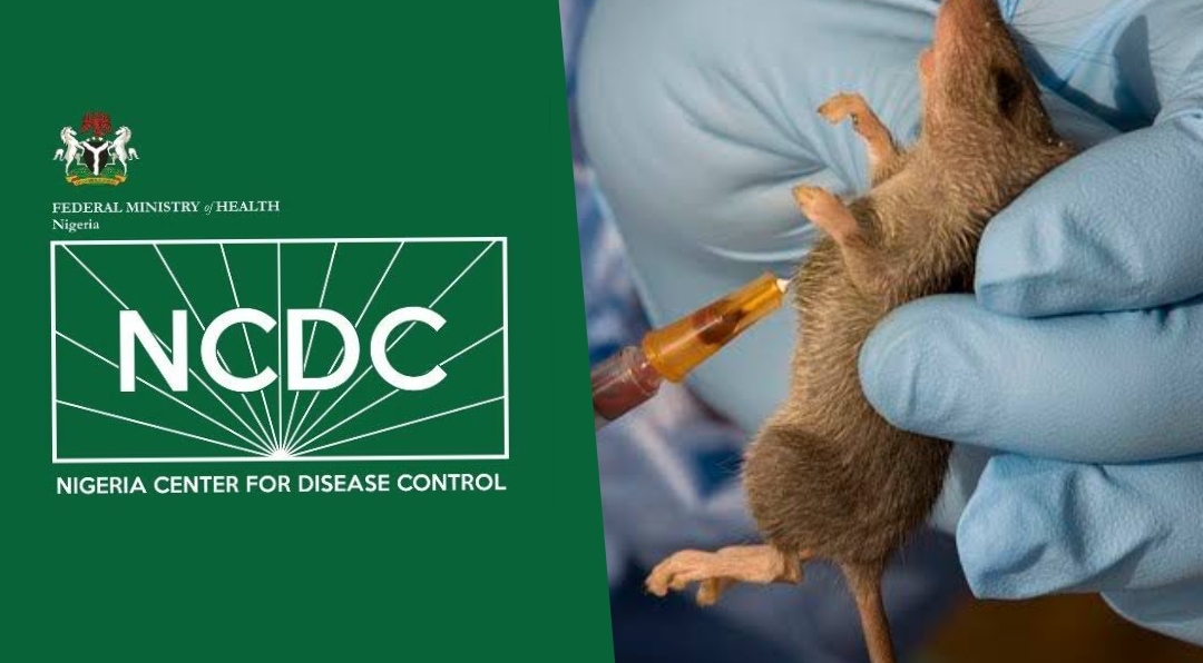 Nigeria records 80 deaths from Lassa fever in one week