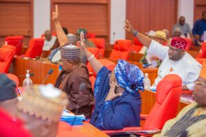 Senate Confirms Sack of Three INEC Officials