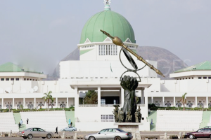 National Assembly To Submit Constitution Review Report To States By December 2025