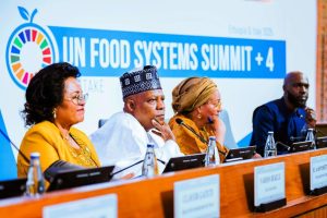 Nigeria Maps 10-year Youth-led Agricultural Renewal Plan