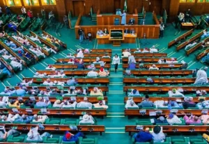 Senate Affirms Commitment to Thorough, Independent Review of House Bills